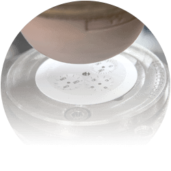 Rubattel & Weyermann - cadrans soignés